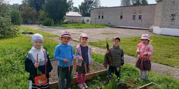 Сбор урожая на огороде в детском