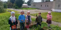 Сбор урожая на огороде в детском