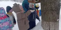 Акция "Покормите птиц"